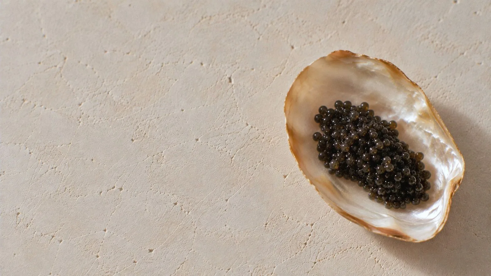 Caviar sur une coquille de nacre, posée sur un plâtre clair