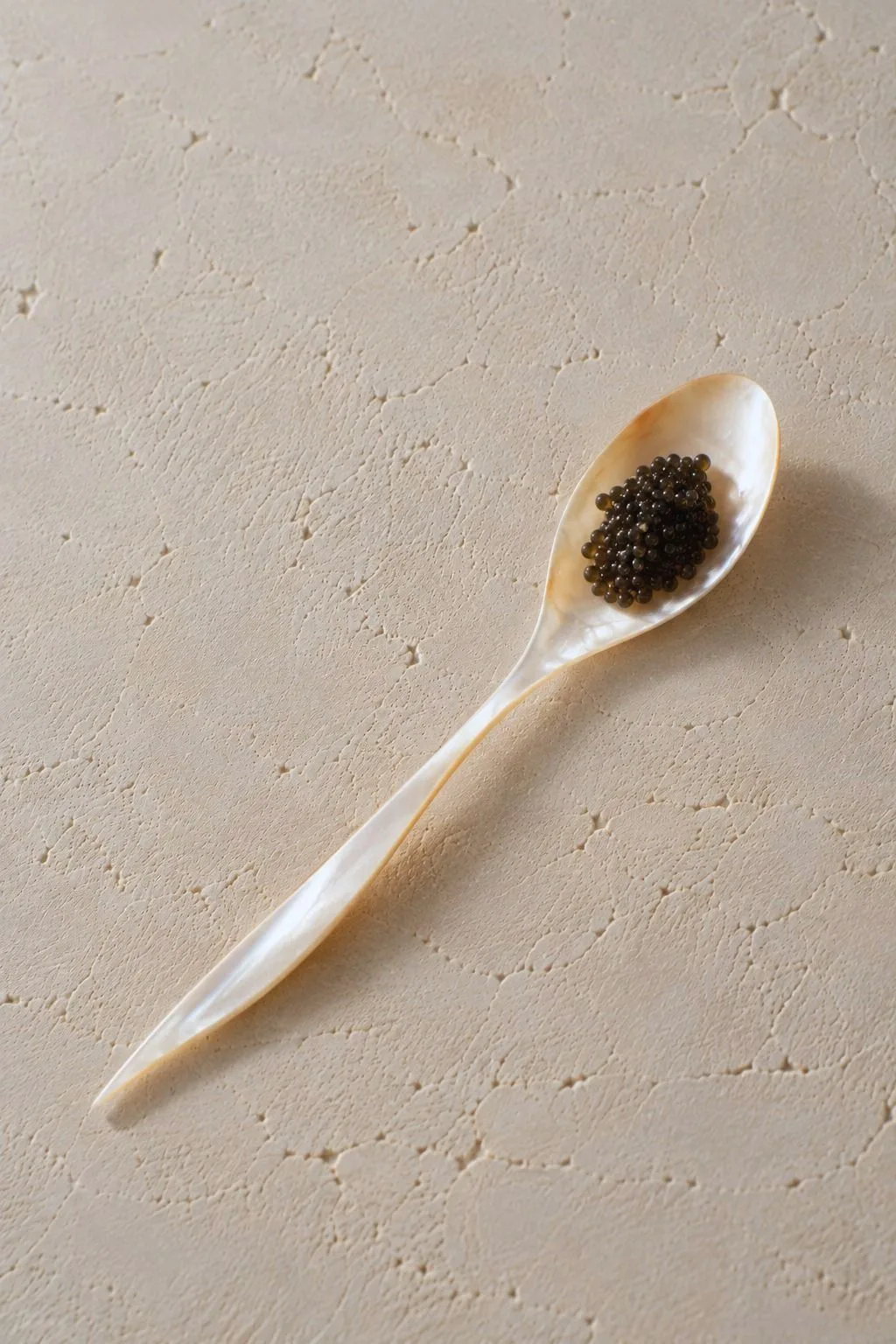 Cuillère de nacre garnie de caviar sur un plâtre clair